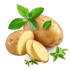 Imagen PNG para descargar